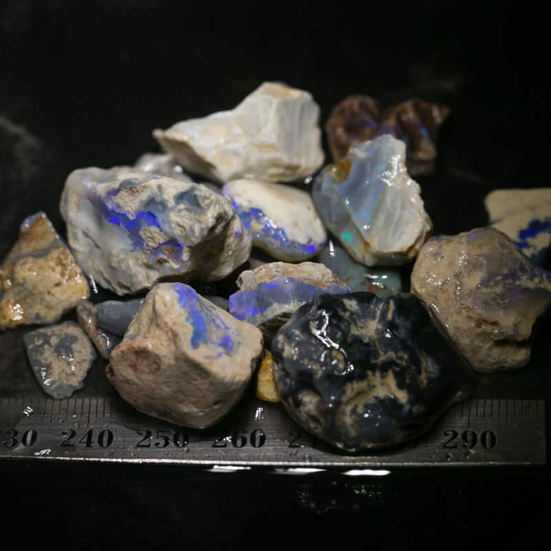 202 ct Beginners Rough Opal with Video Tutorials