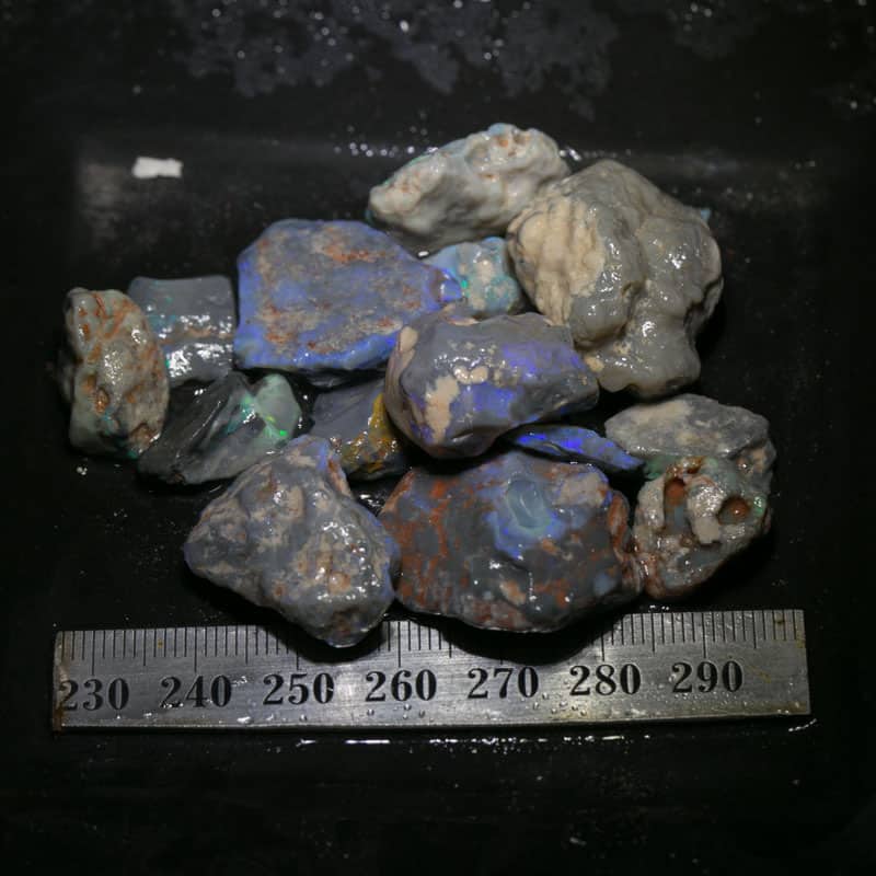 204 ct Beginners Rough Opal with Video Tutorials