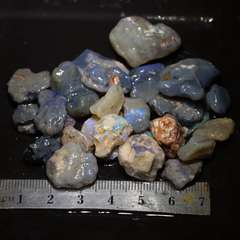 209 ct Beginners Rough Opal with Video Tutorials