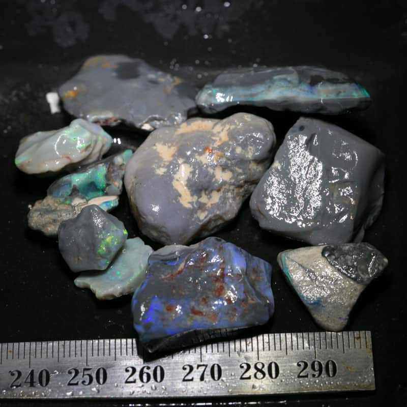 210 ct Beginners Rough Opal with Video Tutorials