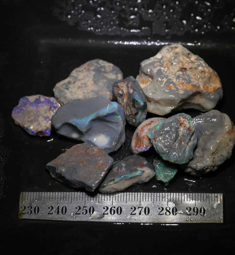 210 ct Beginners Rough Opal with Video Tutorials