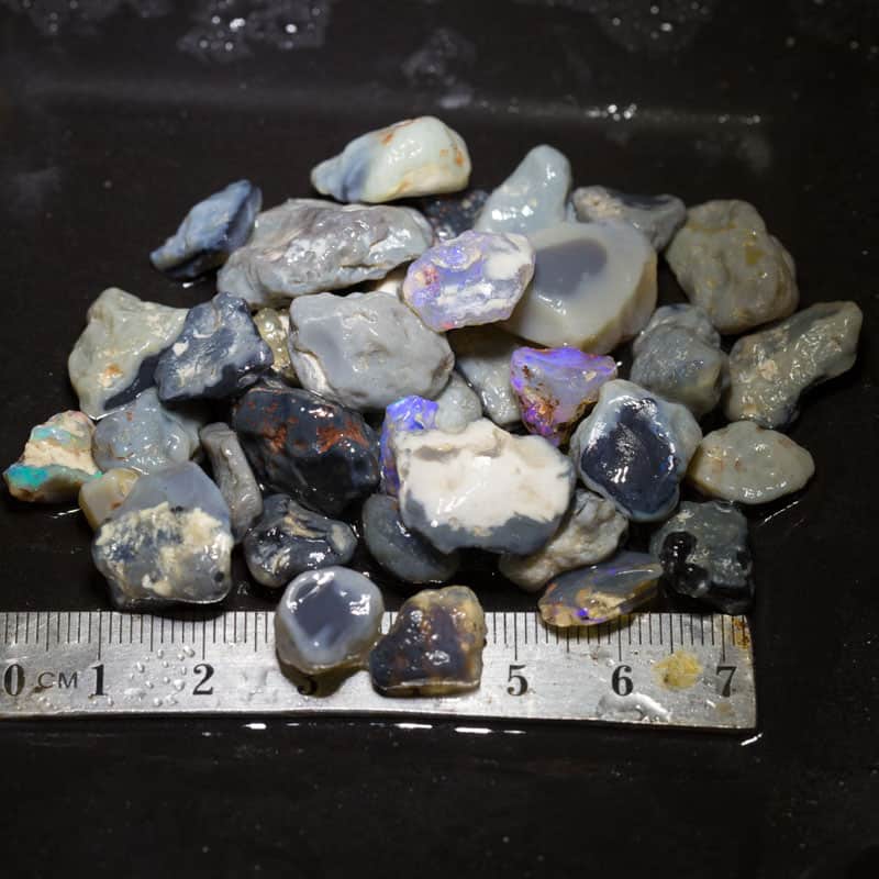 211 ct Beginners Rough Opal with Video Tutorials