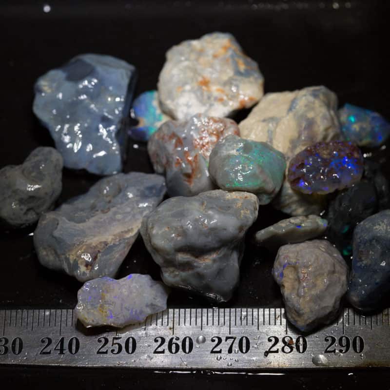 213 ct Beginners Rough Opal with Video Tutorials