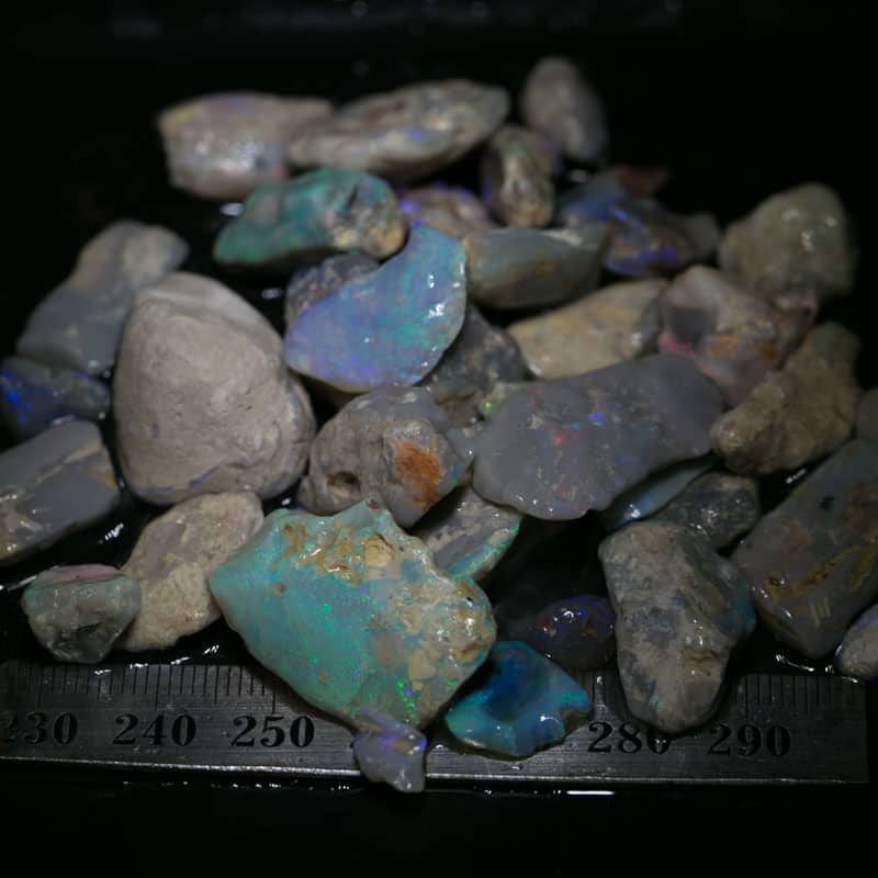 214 ct Beginners Rough Opal with Video Tutorials