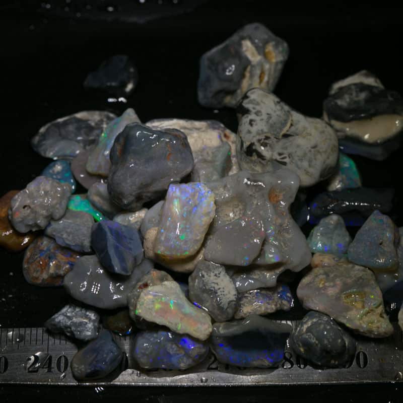 217 ct Beginners Rough Opal with Video Tutorials