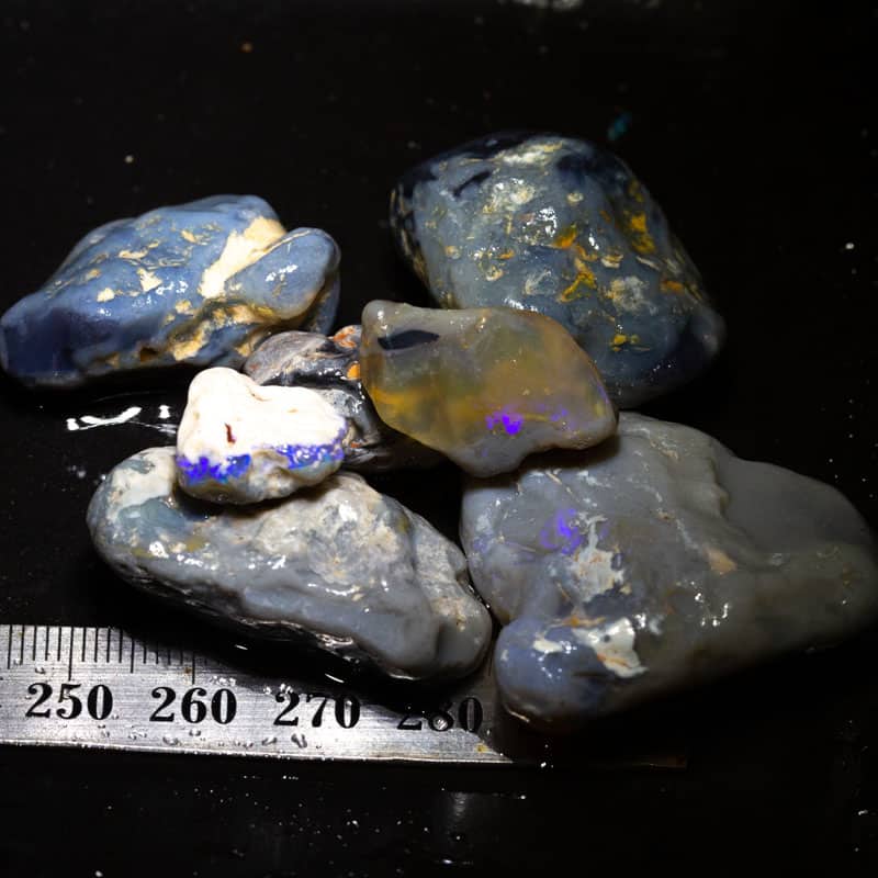 256 ct Beginners Rough Opal with Video Tutorials