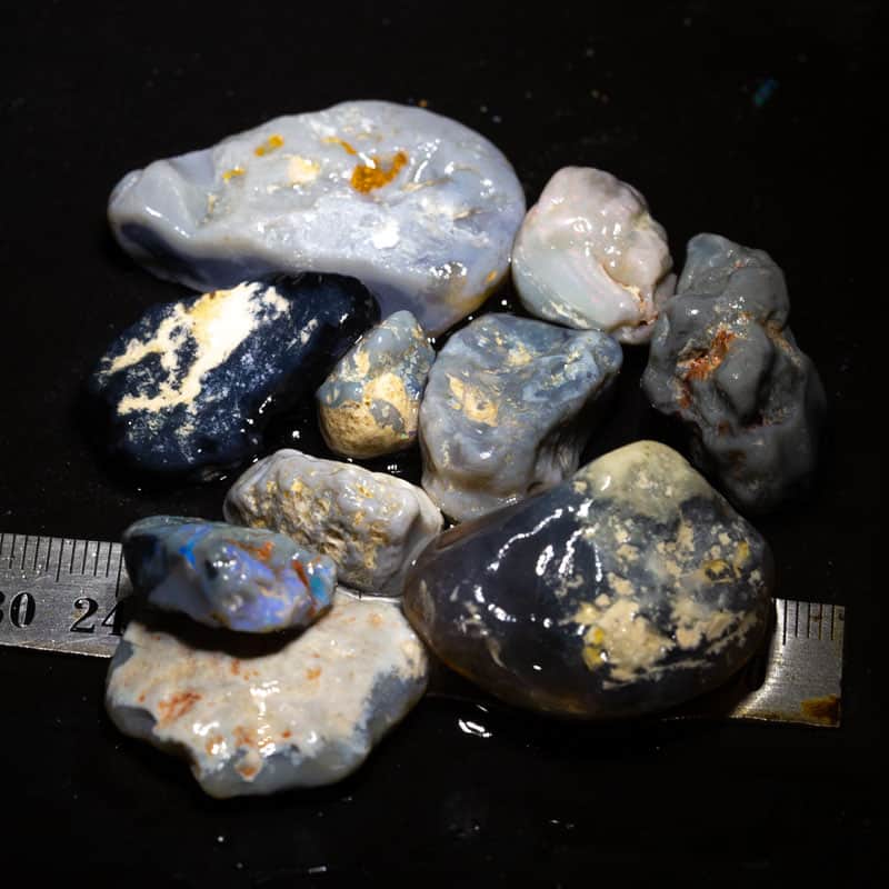 217 ct Beginners Rough Opal with Video Tutorials