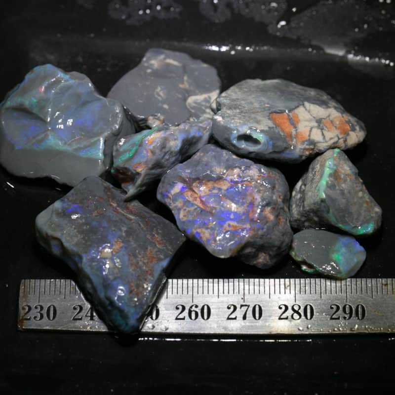 218 ct Beginners Rough Opal with Video Tutorials