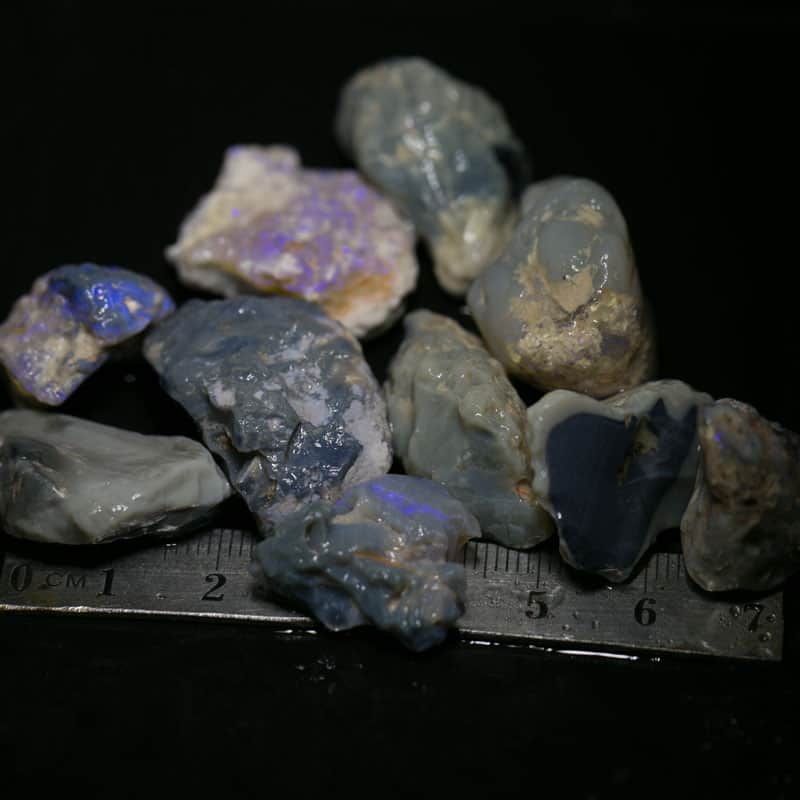 219 ct Beginners Rough Opal with Video Tutorials