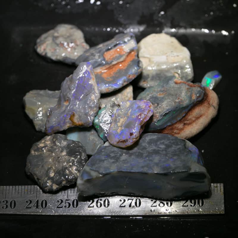 224 ct Beginners Rough Opal with Video Tutorials