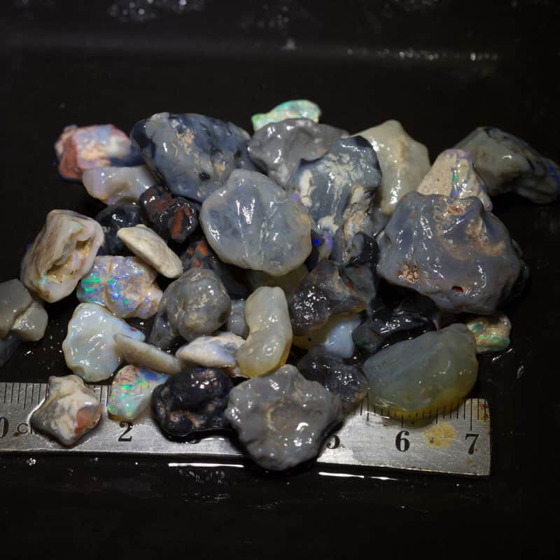 225 ct Beginners Rough Opal with Video Tutorials