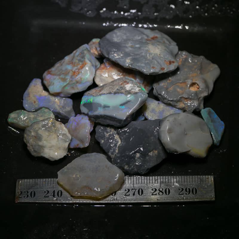 227 ct Beginners Rough Opal with Video Tutorials
