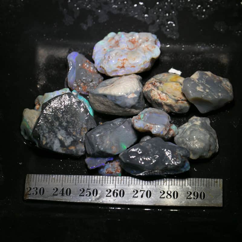 235 ct Beginners Rough Opal with Video Tutorials
