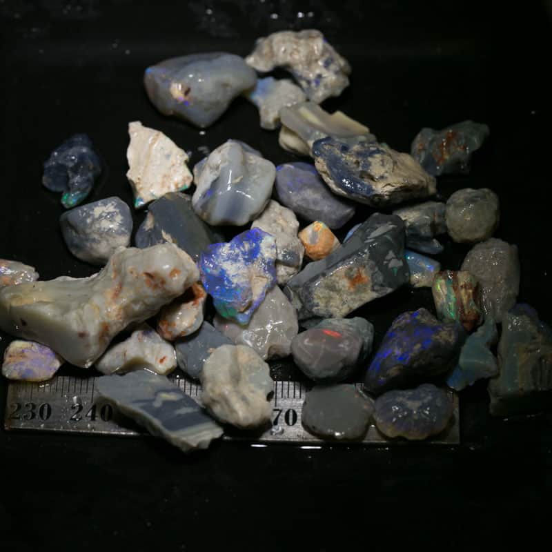 251 ct Beginners Rough Opal with Video Tutorials