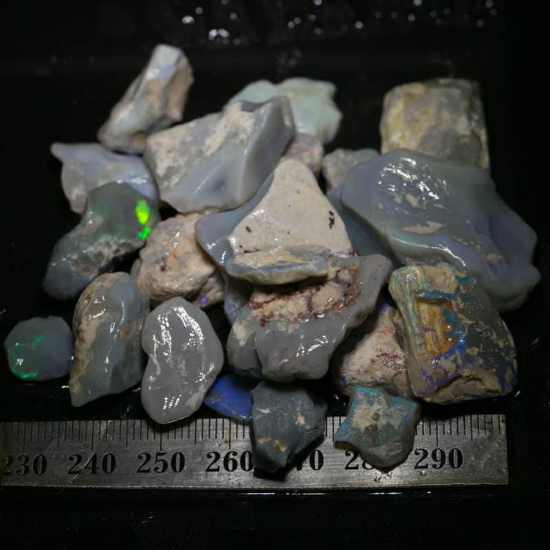 255 ct Beginners Rough Opal with Video Tutorials