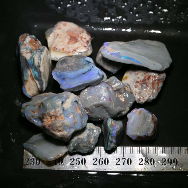 257.1 ct Beginners Rough Opal with Video Tutorials