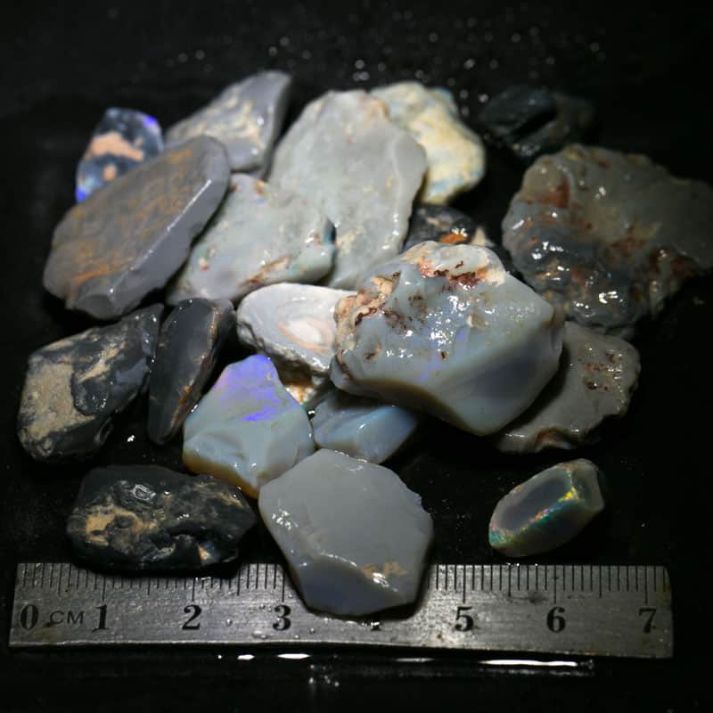 257 ct Beginners Rough Opal with Video Tutorials