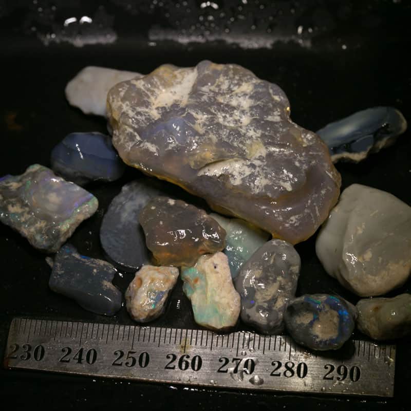 261 ct Beginners Rough Opal with Video Tutorials