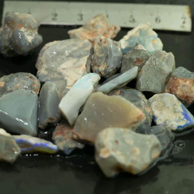 262ct Beginners Rough Opal with Video Tutorials