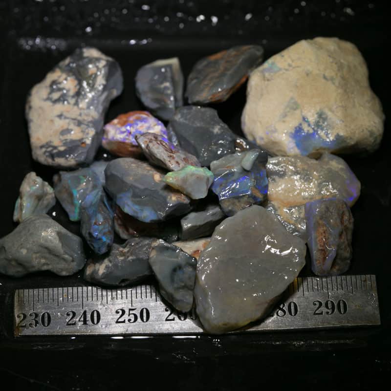 263 ct Beginners Rough Opal with Video Tutorials