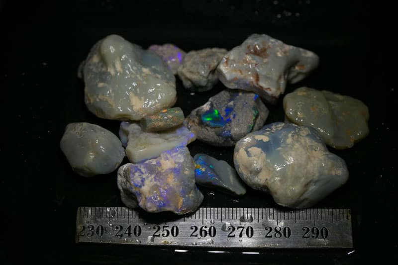 263 ct Beginners Rough Opal with Video Tutorials