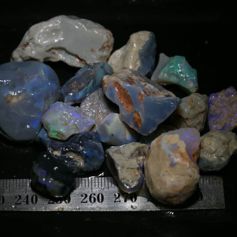 266 ct Beginners Rough Opal with Video Tutorials