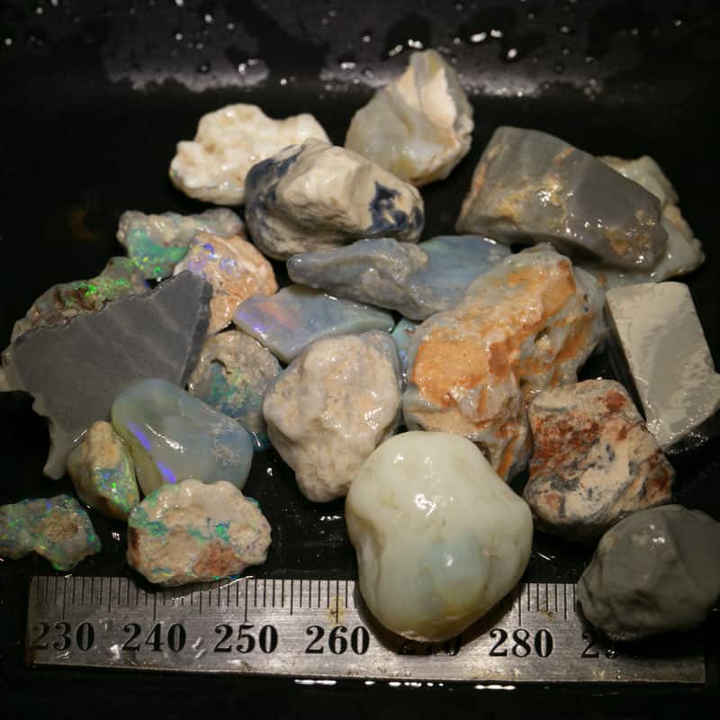 266 ct Beginners Rough Opal with Video Tutorials