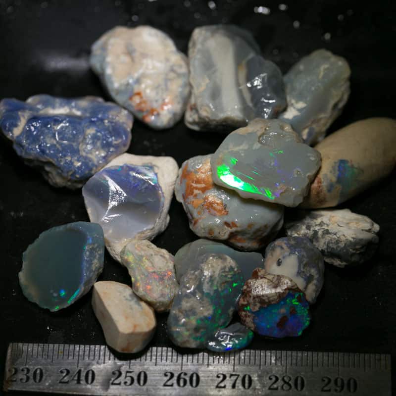271 ct Beginners Rough Opal with Video Tutorials