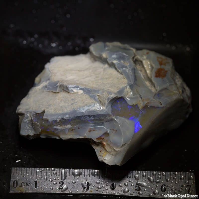 279 ct rough opal piece