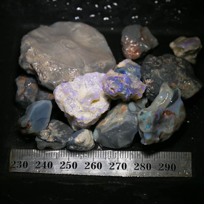 282 ct Beginners Rough Opal with Video Tutorials