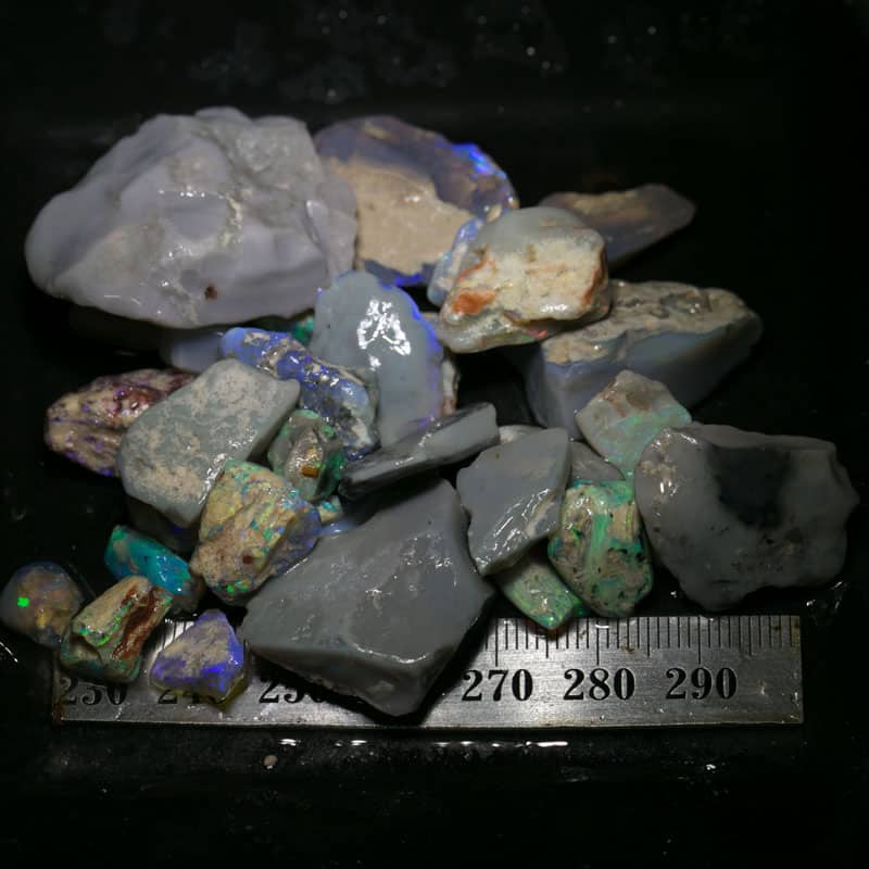 282 ct Beginners Rough Opal with Video Tutorials