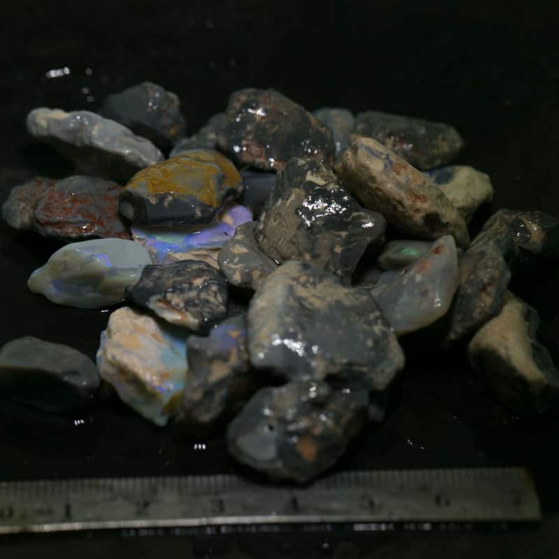 284ct Beginners Rough Opal with Video Tutorials