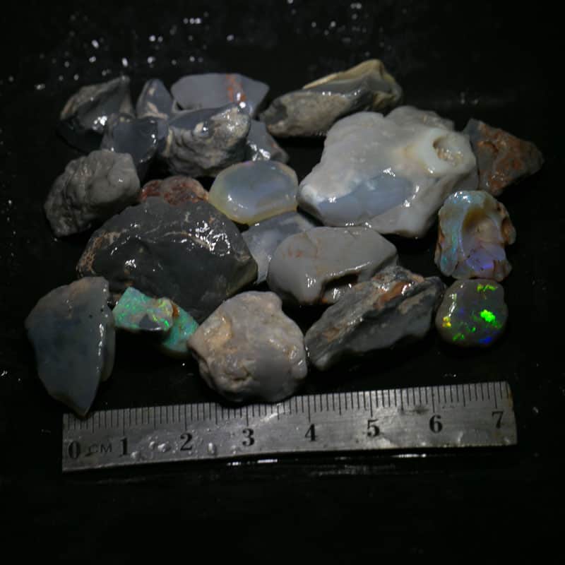 285 ct Beginners Rough Opal with Video Tutorials