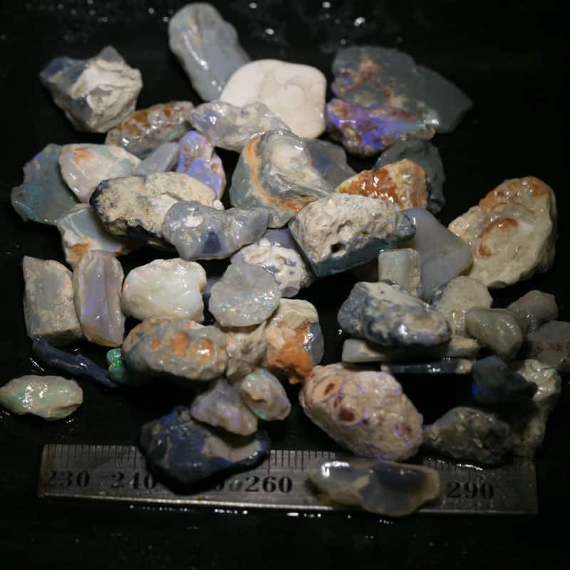 293 ct Beginners Rough Opal with Video Tutorials
