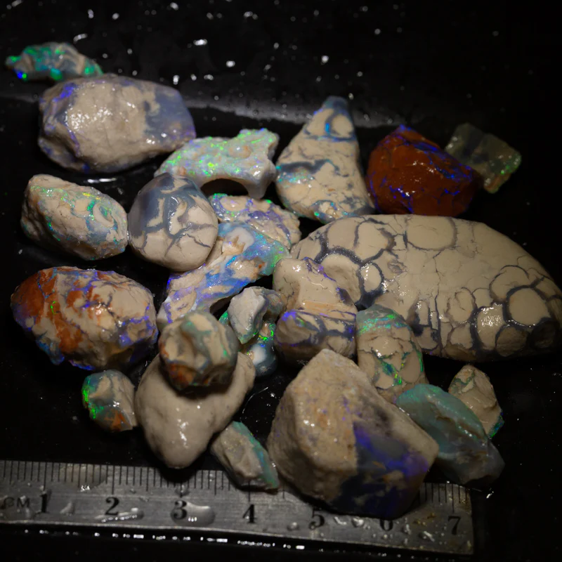 295 ct fossil opal parcel fossils only