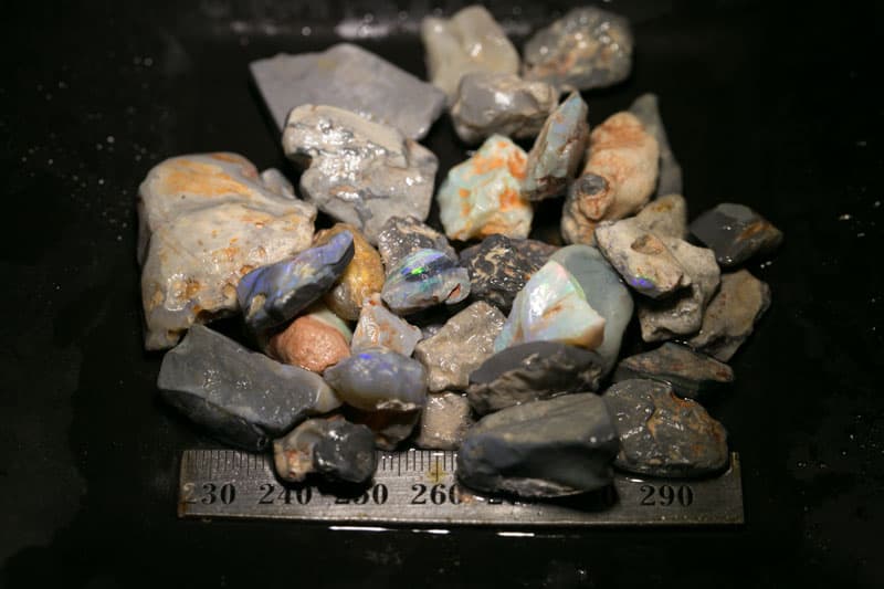 296 ct Beginners Rough Opal with Video Tutorials