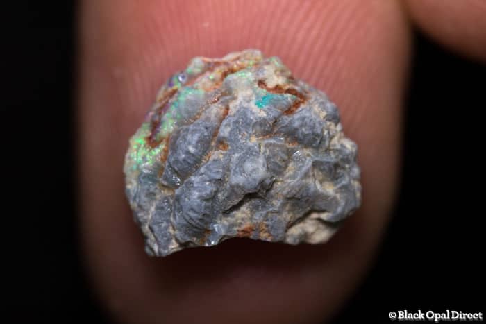 3.04 ct Opalised pine cone 13mm across