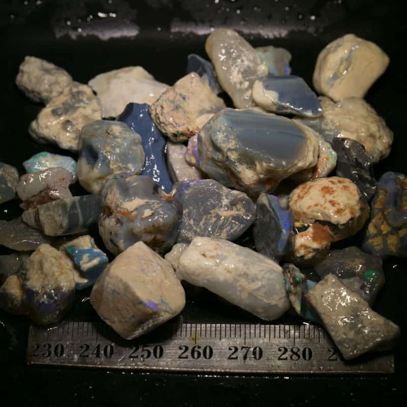 318 ct Beginners Rough Opal with Video Tutorials