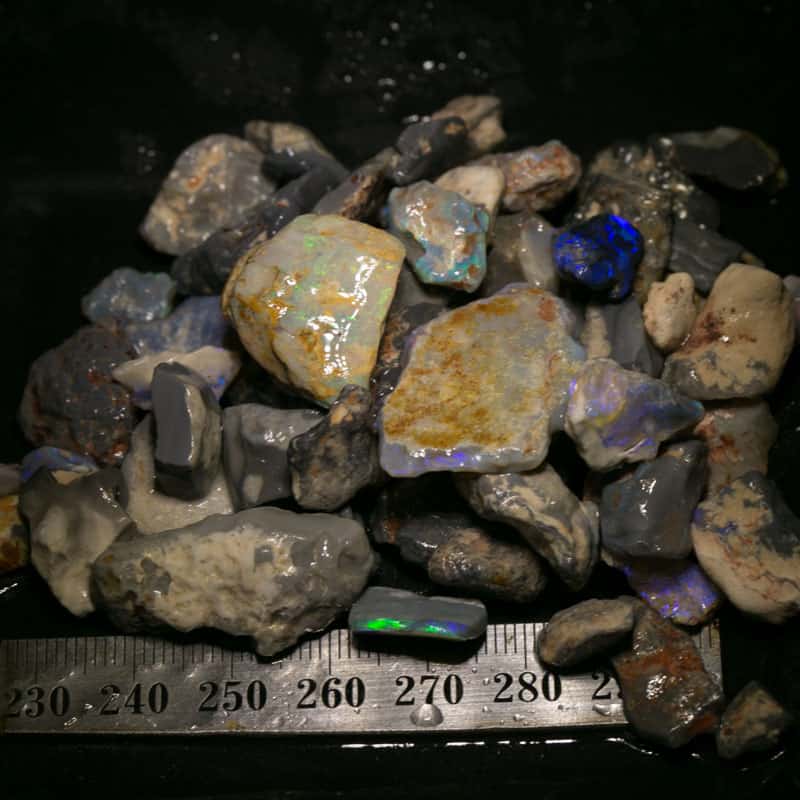 320ct Beginners Rough Opal with Video Tutorials