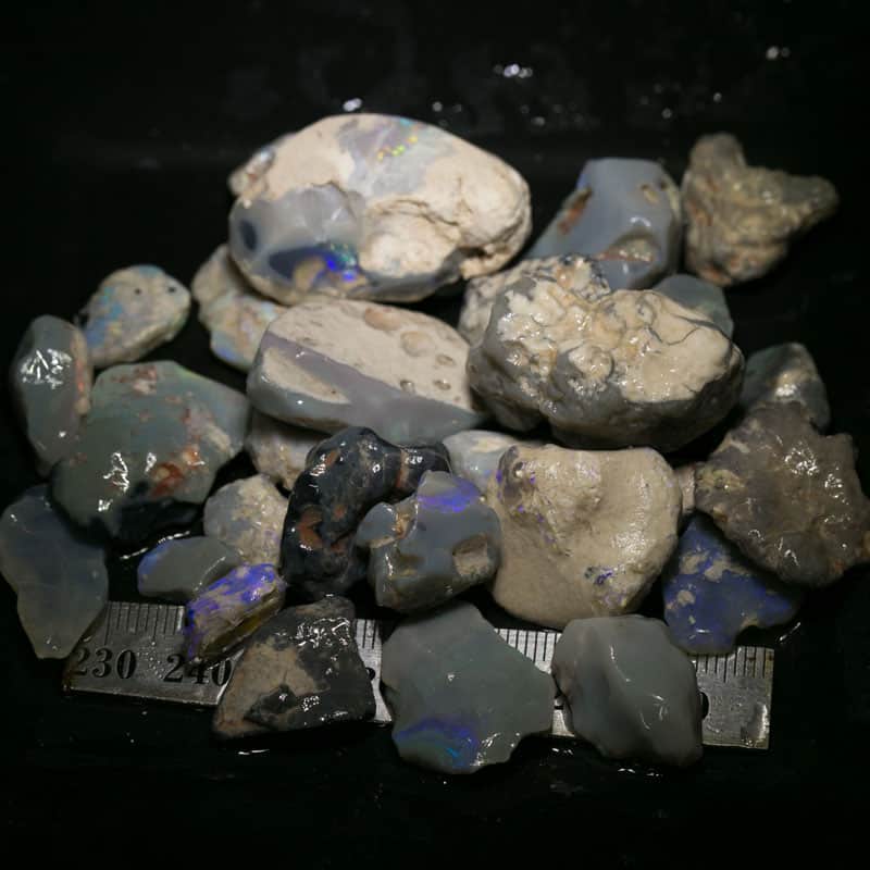 354 ct Beginners Rough Opal with Video Tutorials