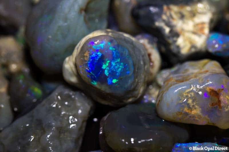 385 ct rough opal parcel for beginners and intermediate opal cutters