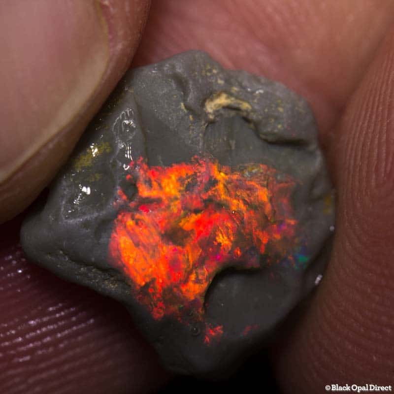 4.37 ct rough opal piece 15mm across
