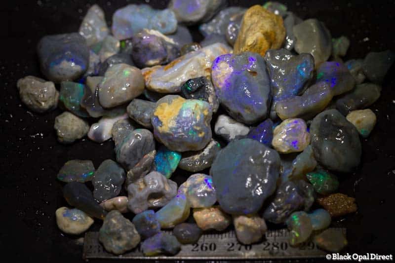 484 ct beginners to intermediate rough opal parcel with many cutters
