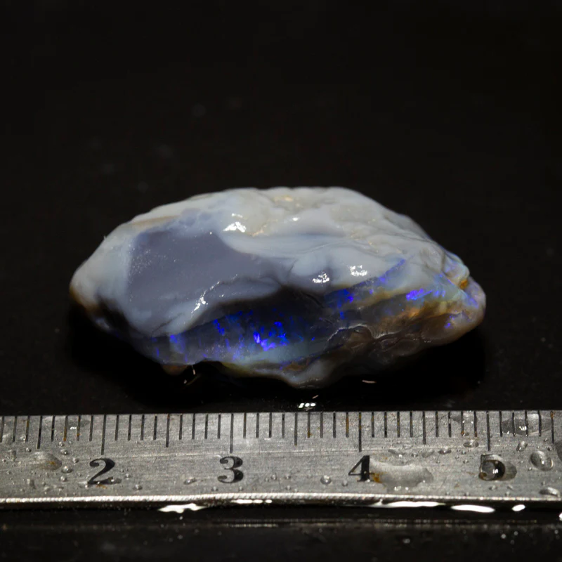 49 ct rough opal piece