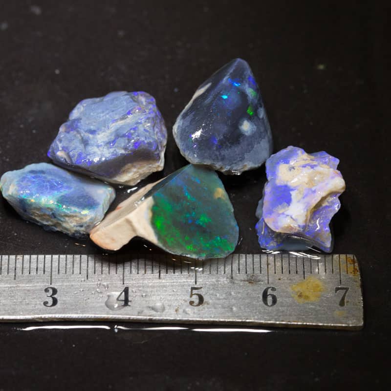 51 ct rough opal parcel 5 pieces