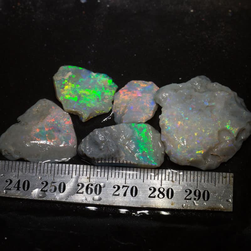 56 ct rough opal parcel 5 pieces
