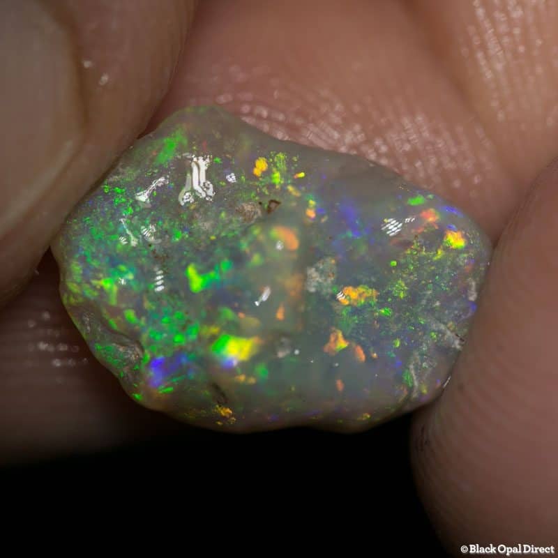 6.35 ct rough opal piece 17mm across Brad H