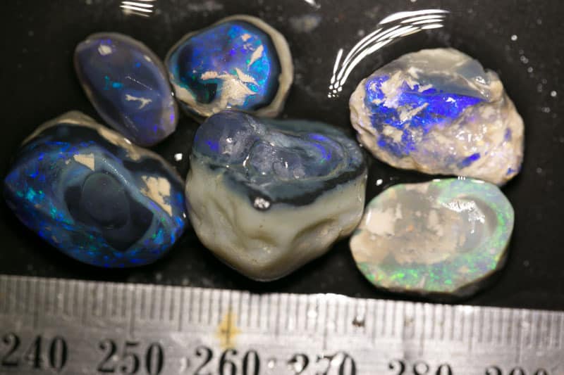 66 ct rough opal parcel 6 pieces