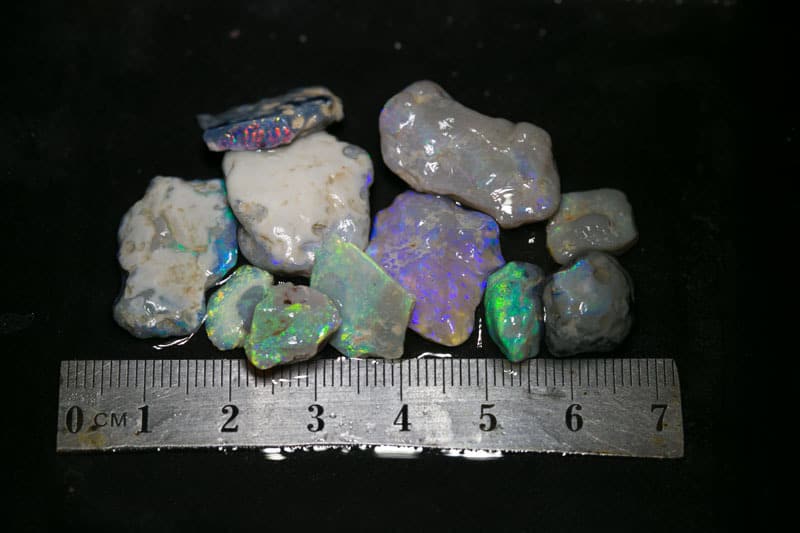 69 ct rough opal parcel 11pc for intermediate