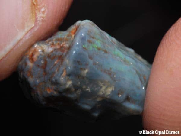 7.1ct fossil opalised bone